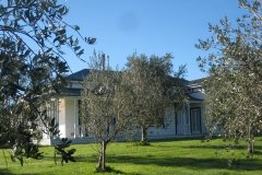 IMG_3971